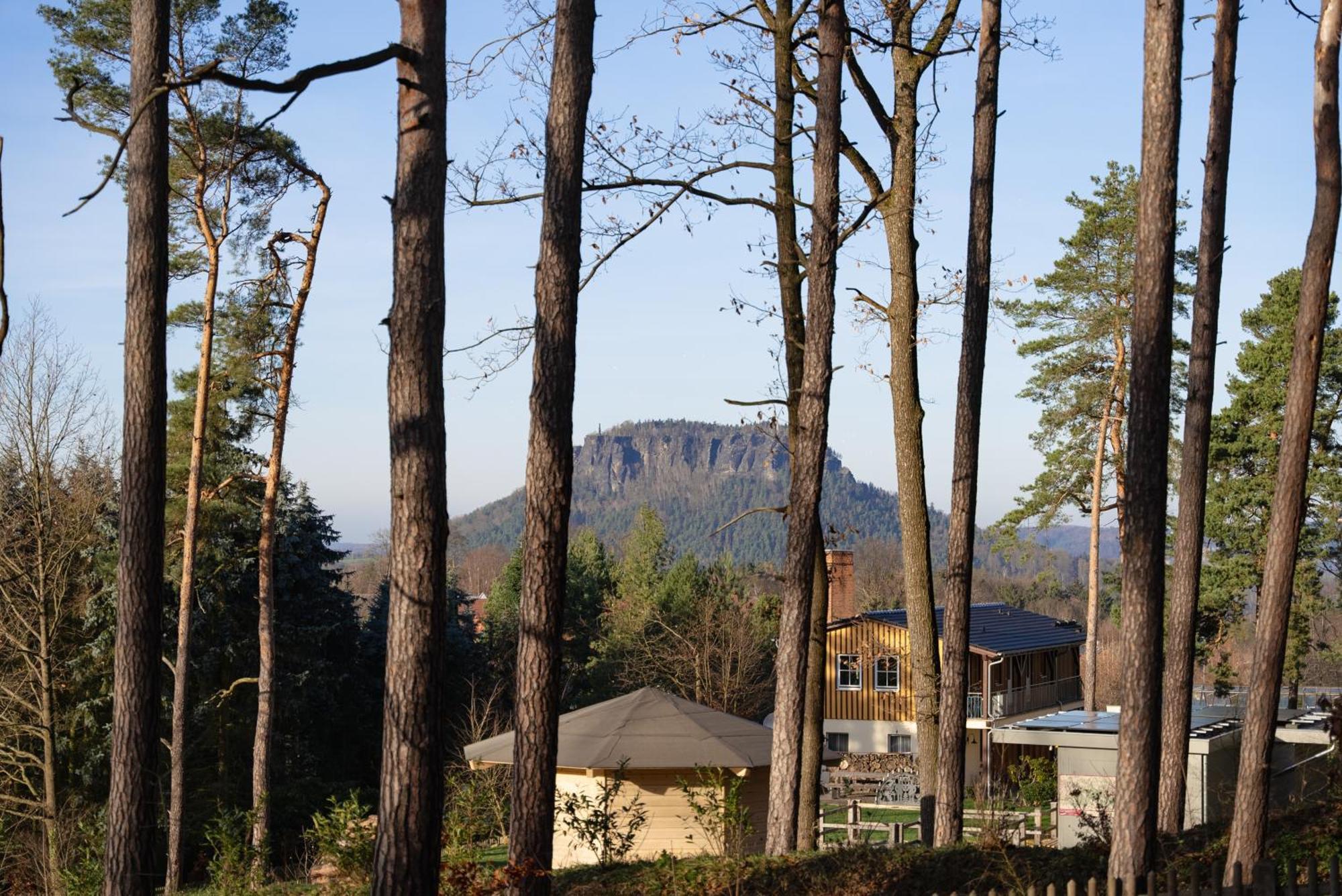 Domizil Am Apartment Kurort Gohrisch